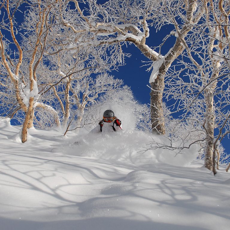 Furano-Japan -Mogul Ski World4