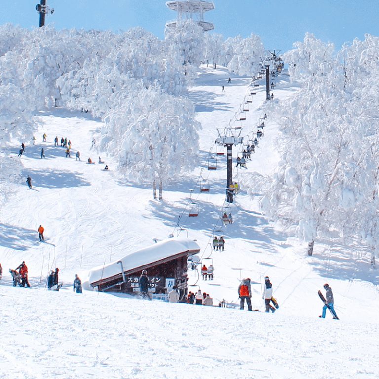 Nozawa Onsen Japan Mogul Ski World