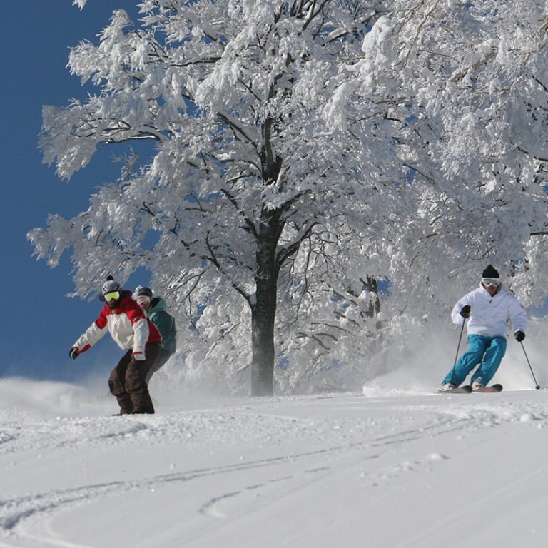 Nozawa Onsen-Japan -Mogul Ski World3