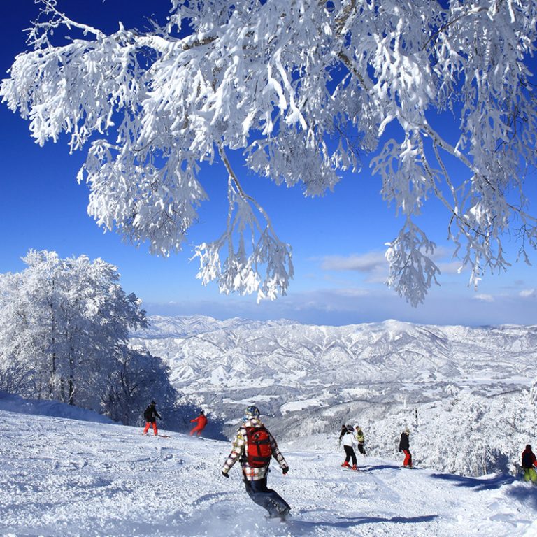 Nozawa Onsen-Japan -Mogul Ski World4