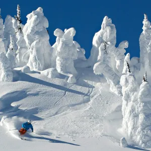 Sun-Peaks-Mogul-Ski-World2