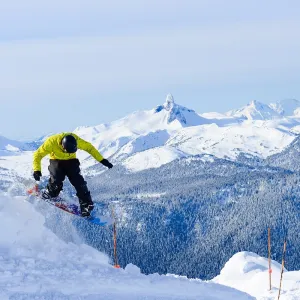 Whistler-Blackcomb-Mogul-Ski-World2