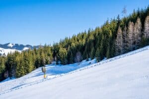 Aspen Snowmass
