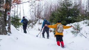 Nozawa Onsen Ski