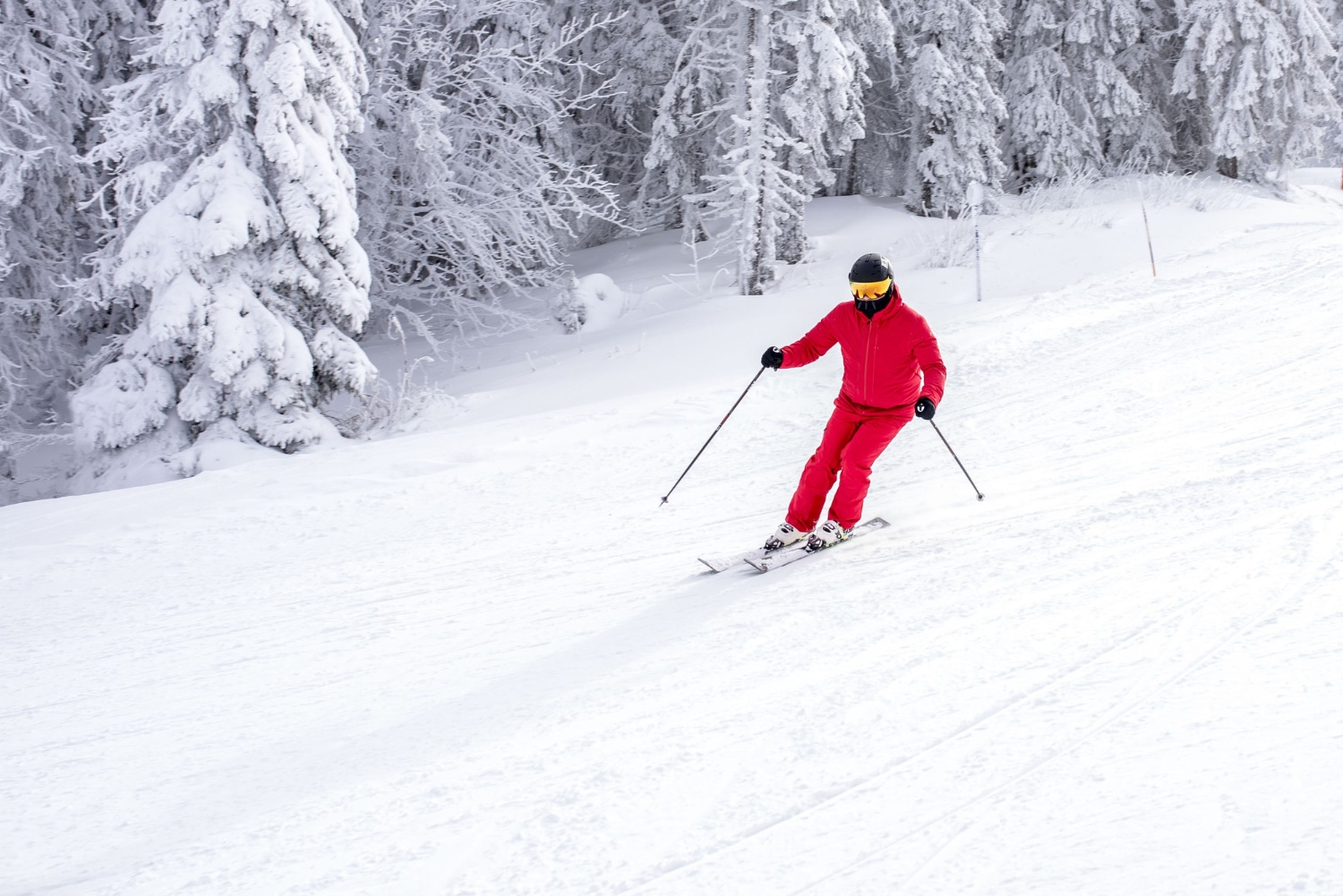 whistler skiing