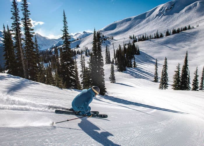 Whistler