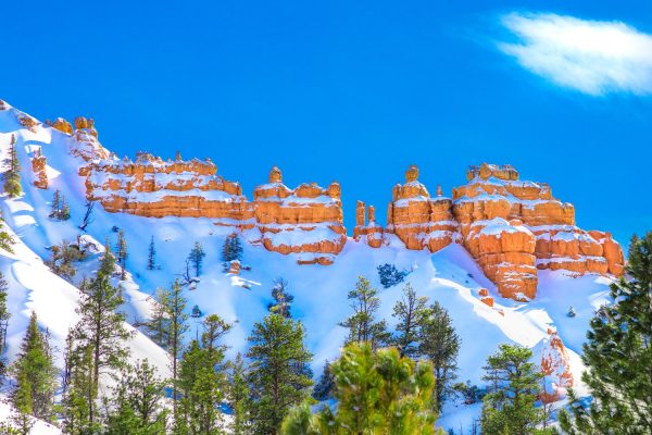 Aspen Snowmass Accommodation