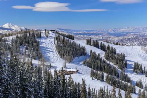 Aspen (2)