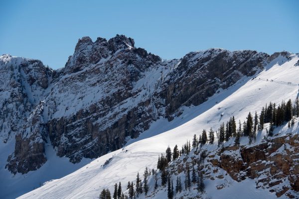 Blog Banner