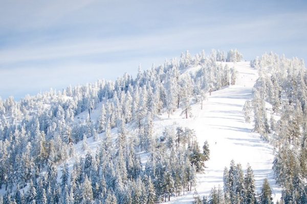 Nevada blog feature pic
