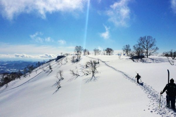 Our Top Planning Tips to Prepare for your Japan Ski Trip