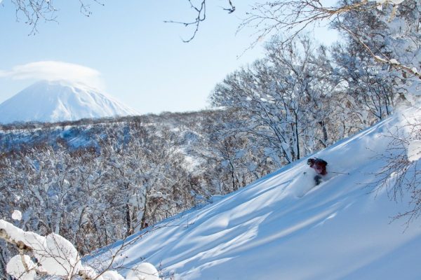 Travel From Home to … Japan