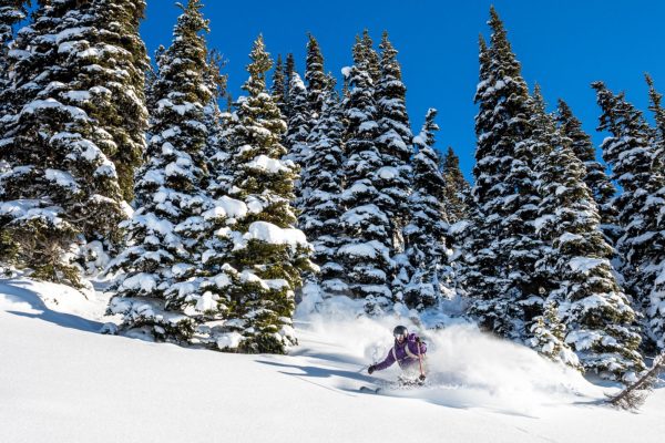 Whistler