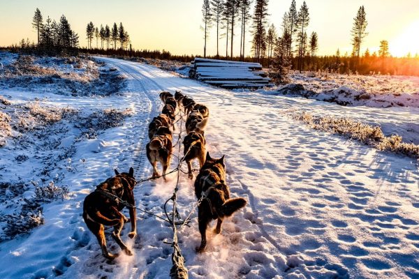 You're virtually there with Mogul Ski World's Travel From Home Toolkit
